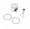 Cast-lite piston kit ATHENA S4C04850001A d 48,45